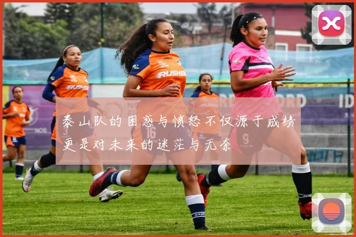 泰山队的困惑与愤怒不仅源于成绩更是对未来的迷茫与无奈